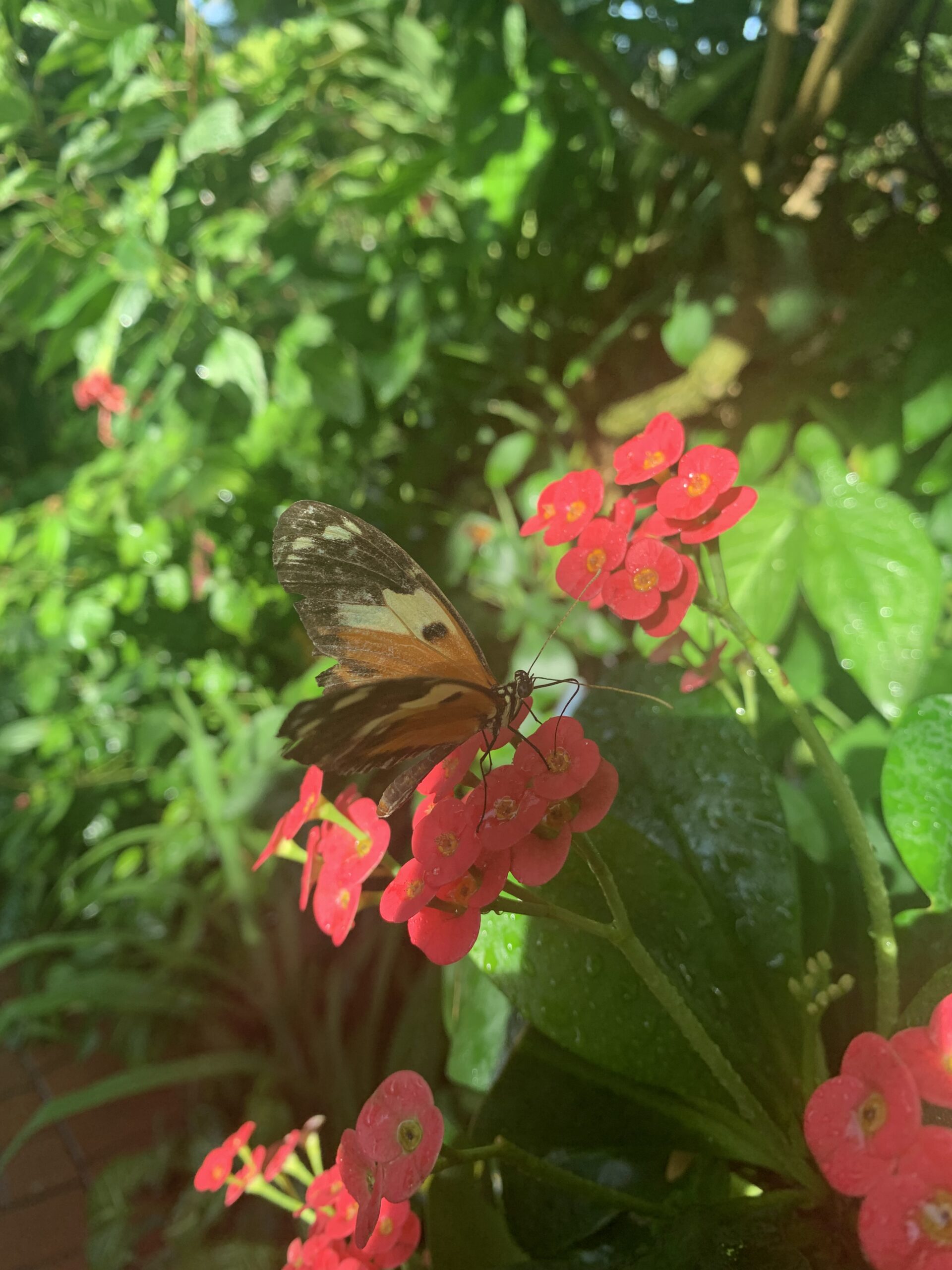 What Airport Flies Into The Florida Keys