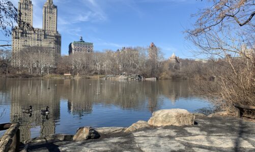 The Ramble: A Wooded Central Park Walk