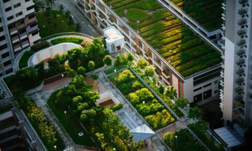 Are Green Roofs the Next Stage in Urban Design?